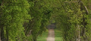 Guest post:What’s the deal with spirituality?