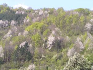 Power exists in inner peace and harmony