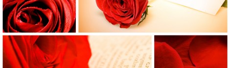 I believe in the Power of Love