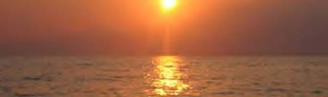 What will you do with this New Year?