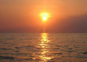 What will you do with this New Year?