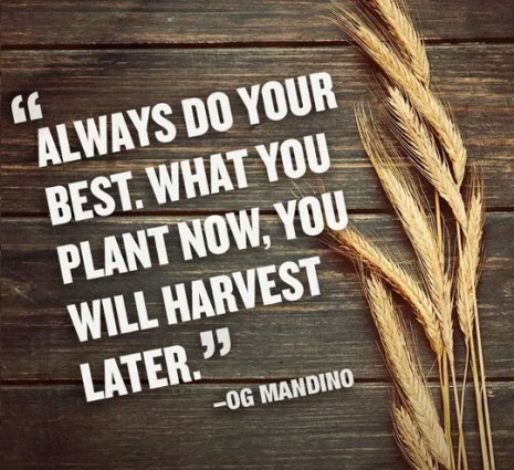 Always do your best. What you plant now, you will harvest later