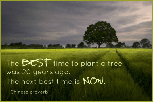 The best time to plant a tree was 20 years ago. The second best time is now.