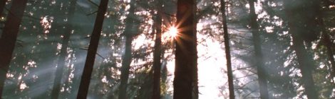 How important is self truth to removing negativity?