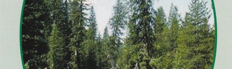 Weekly Spiritual Energy Guidance for August 21-27, 2017