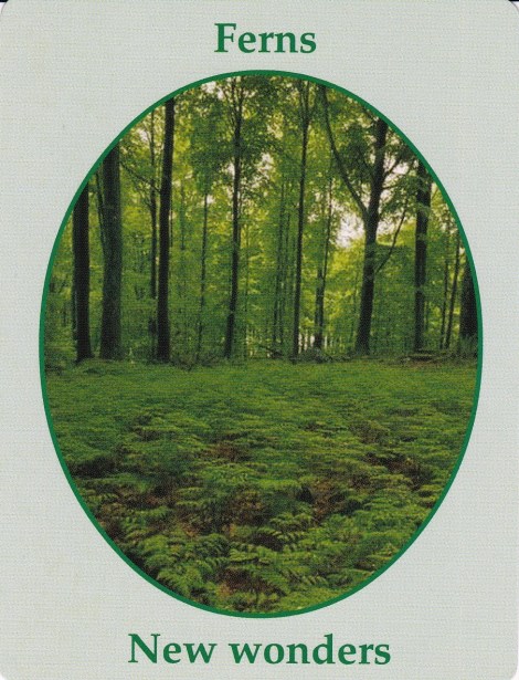 Weekly Spiritual Energy Guidance September 4 through September 10, 2017