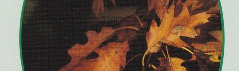 Weekly Spiritual Energy Guidance September 11 through September 17, 2017