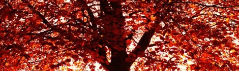 Weekly Spiritual Energy Guidance October 9 through October 15, 2017