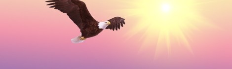 Weekly Spiritual Energy for October 30 through November 5, 2017