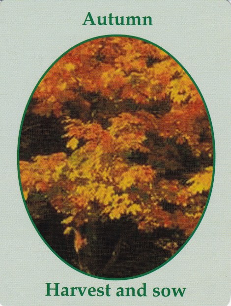 Weekly Spiritual Energy Guidance October 2 Through October 8, 2017