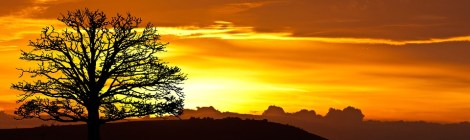 Weekly Spiritual Energy for November 26 through December 3, 2017