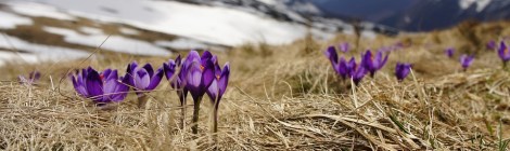 Weekly Spiritual Energy Guidance February 26 through March 4, 2018