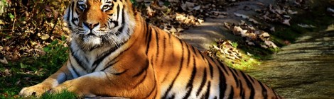 Weekly Spiritual Energy Guidance March 19-March 25, 2018