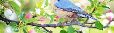 Monthly Spiritual Energy for April 2018