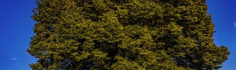 Monthly Spiritual Energy Guidance for May 2018