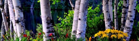 Weekly Spiritual Energy Guidance July 30 - August 05 2018: Heal the Past