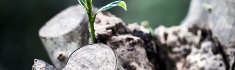 Weekly Spiritual Energy Guidance July 23 - July 29, 2018: Growth