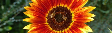 Monthly Spiritual Energy Guidance for September 2018