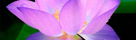 Weekly Spiritual Energy Guidance September 16 - September 23, 2018: Peace