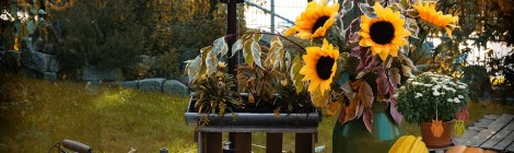 Weekly Spiritual Energy for October 29- November 4, 2018: Abundance