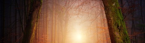 Weekly Spiritual Energy for December 3 - December 9, 2018: Speak Up