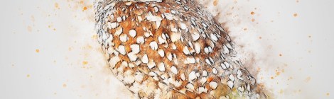 Weekly Spiritual Energy Guidance January 14 - January 20, 2019,