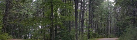 Weekly Spiritual Energy Guidance January 28 - February 3, 2019: Choice