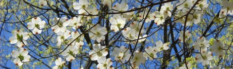 Weekly Spiritual Energy Guidance March 25 - March 31, 2019