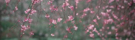 Weekly Spiritual Energy Guidance April 1 – April 7, 2019