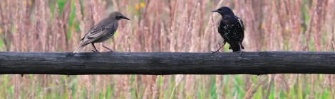 Weekly Spiritual Energy Guidance April 8 – April 14, 2019