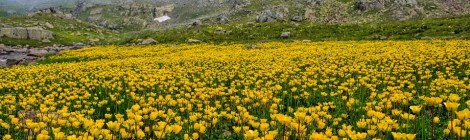 Weekly Spiritual Energy Guidance April 22– April 28, 2019