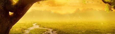 Weekly Spiritual Energy Guidance May 27 – June 2, 2019