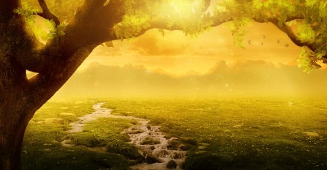 Weekly Spiritual Energy Guidance May 27 – June 2, 2019