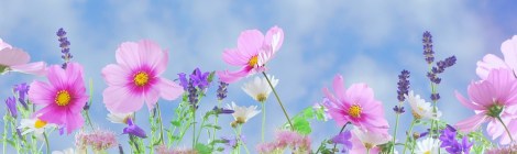 Weekly Spiritual Energy Guidance May 20 – May 26, 2019