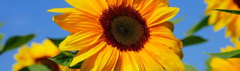 Weekly Spiritual Energy Guidance June 3 – June 9, 2019