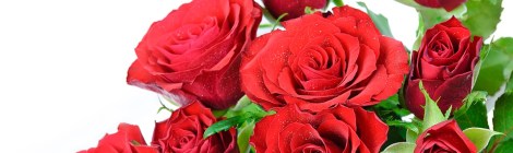 WEEKLY SPIRITUAL ENERGY - September 2 – September 8, 2019 by Lady Dyanna