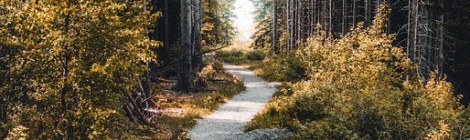 Monthly Spiritual Energy for September 2019 - by Lady Dyanna