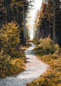 Monthly Spiritual Energy for September 2019 - by Lady Dyanna