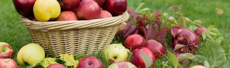 WEEKLY SPIRITUAL ENERGY - September 30 – October 6, 2019 by Lady Dyanna