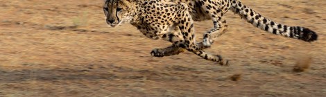 Weekly Spiritual Energy Guidance October 28 – November 3, 2019 