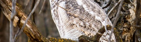 Monthly Spiritual Energy Guidance for October 2019