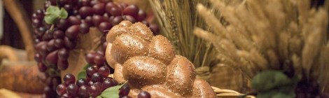 Monthly Spiritual Energy Guidance for November 2019