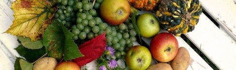 Weekly Spiritual Energy Guidance November 4 – November 10, 2019 