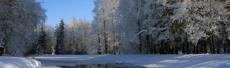 WEEKLY SPIRITUAL ENERGY - February 3, 2020 – February 9, 2020 by Lady Dyanna