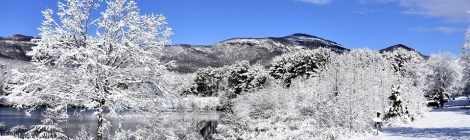 Weekly Spiritual Energy Guidance February 10, 2020 – February 16, 2020