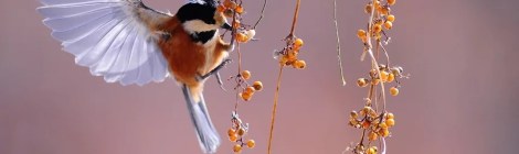 Weekly Spiritual Energy Guidance April 27, 2020 – May 3, 2020, 2020