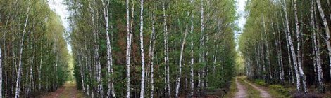 Monthly Spiritual Energy for May 2020