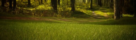 WEEKLY SPIRITUAL ENERGY- June 1, 2020 - June 7, 2020 by Lady Dyanna