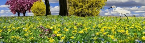 WEEKLY SPIRITUAL ENERGY -May 25, 2020 – May 31, 2020 by Lady Dyanna