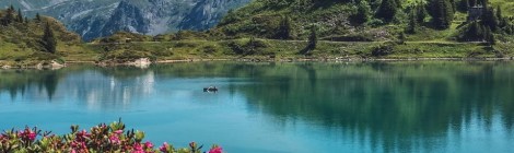 Monthly Spiritual Energy Guidance for July 2020